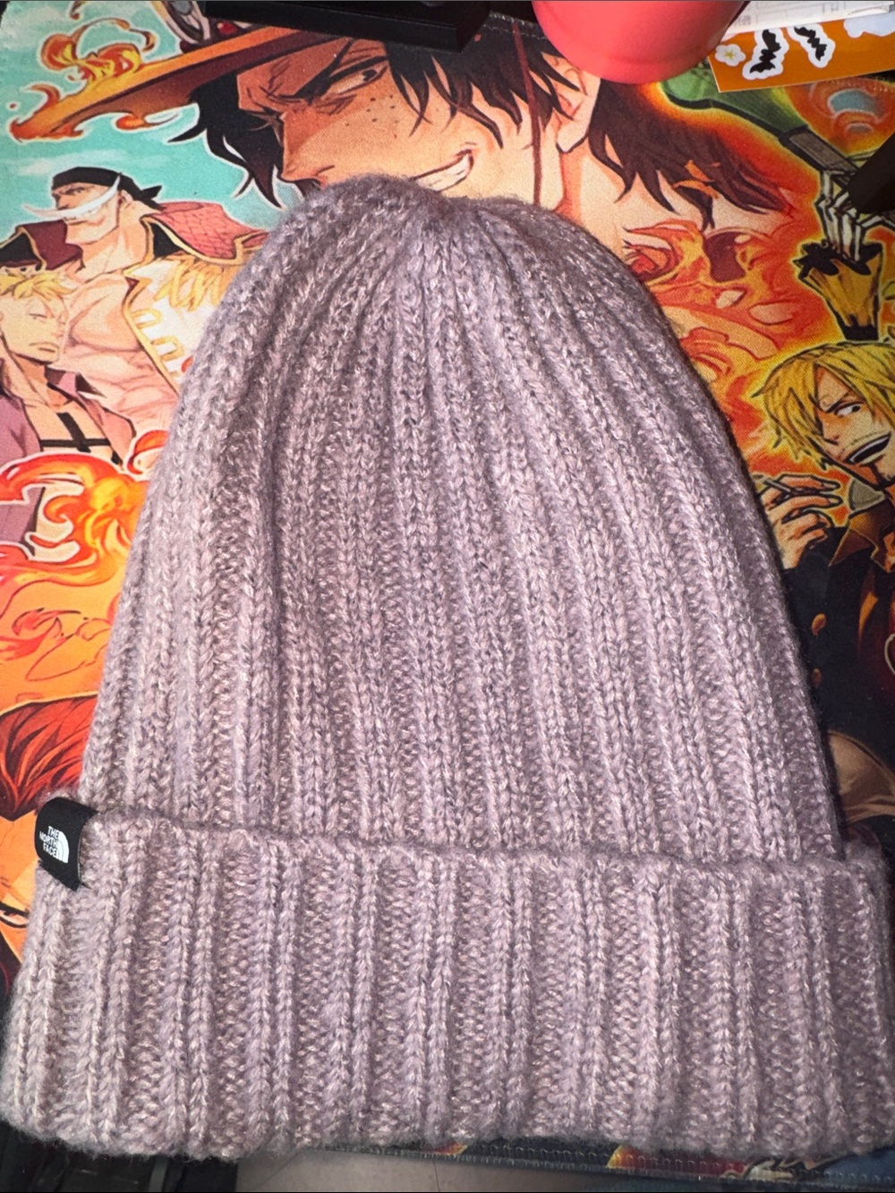 Purple North Face Beanie